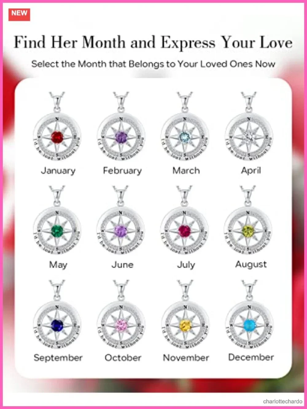 S925 Sterling Silver Compass Necklace Cubic Zirconia Pendant for Women